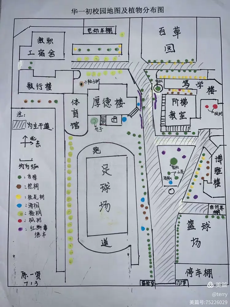 华师一附中初中生物地理﻿跨学科项目式学习
